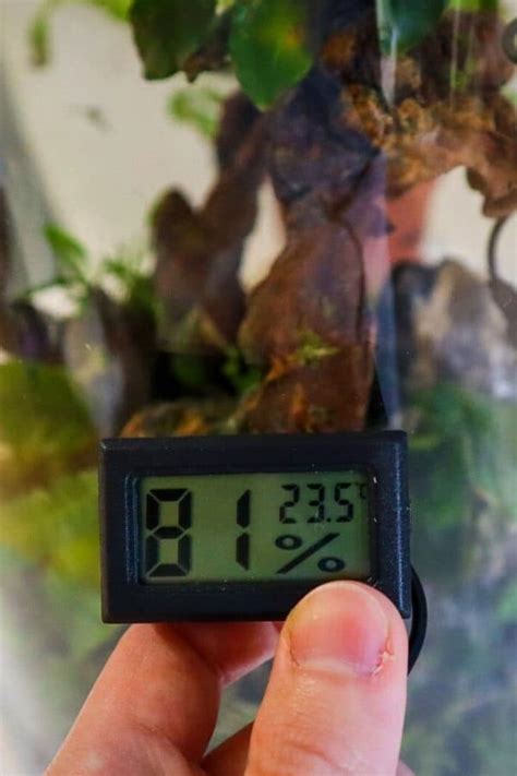 temperatuur vochtmeter terrarium|humidity in terrarium.